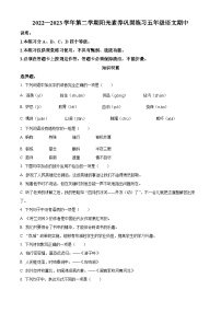 2022-2023学年广东省深圳市宝安区振兴学校部编版五年级下册期中考试语文试卷（原卷版+解析版）