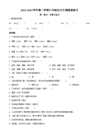 2023-2024学年福建省龙岩市武平县部编版六年级下册期中考试语文试卷（原卷版+解析版）