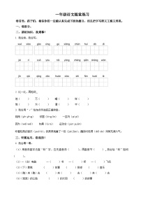 2023-2024学年江苏省盐城市盐都区神州路小学教育集团部编版一年级下册期中考试语文试卷（原卷版+解析版）