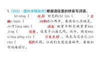 小升初语文总复习作业2专题一汉字（字形）课件