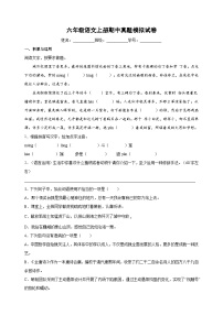 统部编版语文六年级上册期中真题模拟试卷（含答案解析）