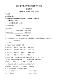 上海市普陀区2023-2024学年六年级（五四学制）下学期期中语文试题（原卷版+解析版）