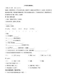 2023-2024学年江苏省盐城市盐都区神州路小学教育集团部编版六年级下册期中考试语文试卷（原卷版+解析版）