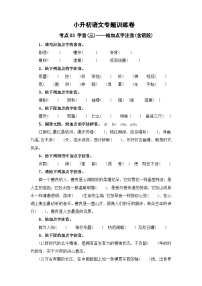 考点03 字音(三)：给加点字注音(含语段)-2024年小升初语文专题训练（统编版）