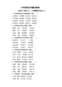 考点05 字形(二)：字形辨析并改正(二)-2024年小升初语文专题训练（统编版）