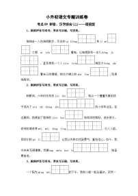 考点09 拼音、汉字综合(二)：语段型-2024年小升初语文专题训练（统编版）