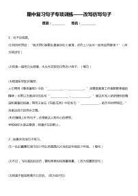 统编版语文六年级下册期中复习句子专项训练—句子训练题（含答案）