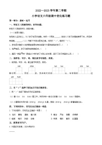 2022-2023学年广东省东莞市东城中心小学部编版六年级下册期中考试语文试卷（原卷版+解析版）