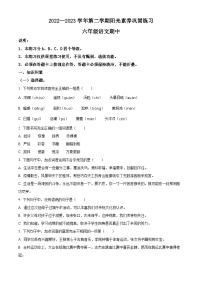 2022-2023学年广东省深圳市宝安区振兴学校部编版六年级下册期中考试语文试卷（原卷版+解析版）