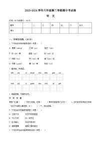 2023-2024学年河南省周口市郸城县实验小学等校部编版六年级下册期中考试语文试卷（原卷版+解析版）