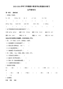 2023-2024学年云南省楚雄彝族自治州部编版五年级下册期中考试语文试卷（原卷版+解析版）