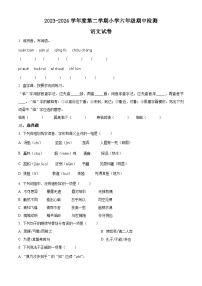 2023-2024学年广东省湛江市雷州五校部编版六年级下册期中考试语文试卷（原卷版+解析版）