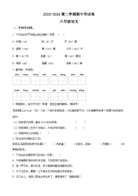 2023-2024学年河南省周口市沈丘县县直小学等校部编版六年级下册期中考试语文试卷（原卷版+解析版）