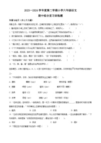 2023-2024学年湖北省省直辖县级行政单位部编版六年级下册期中考试语文试卷（原卷版+解析版）