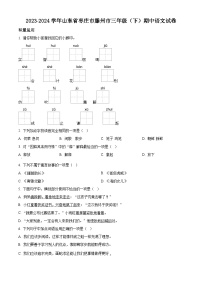 2023-2024学年山东省枣庄市滕州市部编版三年级下册期中考试语文试卷（原卷版+解析版）