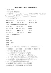 2023年重庆市大渡口区小升初语文试卷（含答案）