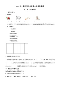 2023-2024学年湖南省怀化市通道县部编版五年级下册期中考试语文试卷（原卷版+解析版）