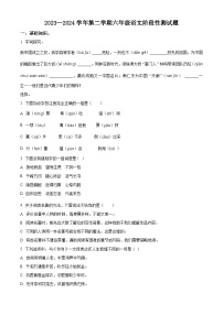 2023-2024学年山东省聊城市阳谷县部编版六年级下册期中考试语文试卷（原卷版+解析版）