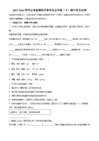 2023-2024学年山东省潍坊市寒亭区部编版五年级下册期中考试语文试卷（原卷版+解析版）