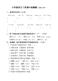 山东省聊城市莘县实验小学2023-2024学年六年级下学期期中考试语文试题