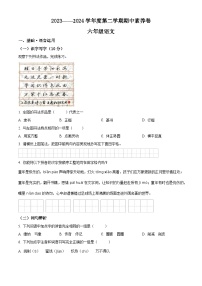 2023-2024学年广东省江门市台山市部编版六年级下册期中考试语文试卷（原卷版+解析版）