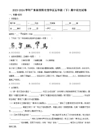 2023-2024学年广东省深圳市龙华区部编版五年级下册期中考试语文试卷（原卷版+解析版）