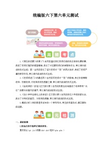 第六单元（单元测试）-2023-2024学年六年级语文下册单元复习（统编版）