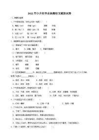 统部编版小升初毕业抽测语文模拟试卷（附答案）
