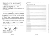 河南省平顶山市叶县邓李乡2023-2024学年三年级下学期期中语文试卷