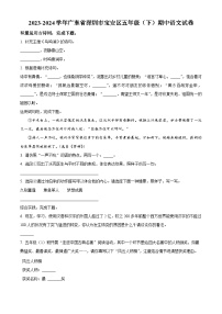 2023-2024学年广东省深圳市宝安区部编版五年级下册期中考试语文试卷（原卷版+解析版）