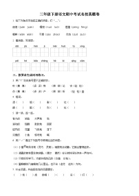 2023-2024学年河南省许昌市建安区部编版三年级下册期中考试语文试卷（原卷版+解析版）