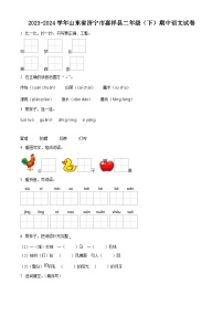 2023-2024学年山东省济宁市嘉祥县部编版二年级下册期中考试语文试卷（原卷版+解析版）