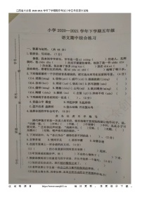 28，江西省赣州市大余县2020-2021学年五年级下学期期中考试语文试卷