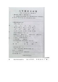 45，河南省开封市尉氏县2023-2024学年六年级下学期期中语文试题