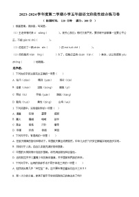 2023-2024学年广东省湛江市第九小学部编版五年级下册期中考试语文试卷（原卷版+解析版）