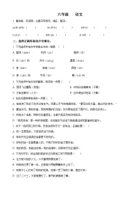 2023-2024学年河南省郑州市金水区农科路小学教育集团部编版六年级下册期中考试语文试卷（原卷版+解析版）