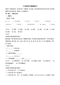 38，2023-2024学年江苏省盐城市盐都区盐城市二小教育集团部编版六年级下册期中考试语文试卷