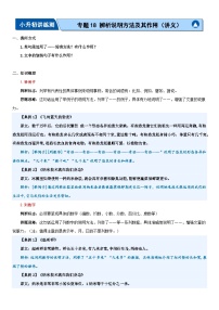 专题18+辨析说明方法及其作用（讲义）-2024年小升初语文复习讲练测（统编版）