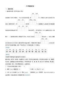 03，2023-2024学年河南省驻马店市汝南县部编版六年级下册期中考试语文试卷