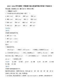 2023-2024学年河南省许昌市建安区部编版六年级下册期中考试语文试卷