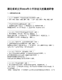 湖北省武汉市2024年小升初语文质量调研卷
