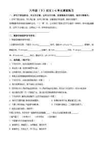 2023-2024学年河南省商丘市夏邑县城多校联考部编版六年级下册期中考试语文试卷（原卷版+解析版）