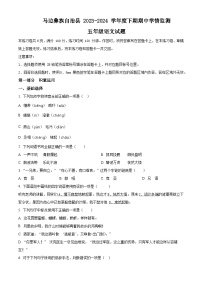 2023-2024学年四川省乐山市马边彝族自治县部编版五年级下册期中考试语文试卷（原卷版+解析版）