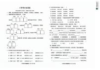 山东省烟台市芝罘区2023-2024学年五年级下学期期末调研语文试卷