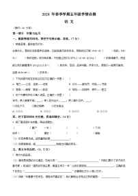 2023-2024学年河南省三门峡市湖滨区部编版五年级下册期中考试语文试卷（原卷版+解析版）
