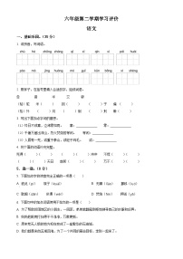 2023-2024学年山东省德州市宁津县相衙镇中心小学+杨年小学部编版六年级下册期中考试语文试卷