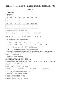 2023-2024学年陕西省宝鸡市陇县部编版五年级下册期中考试语文试卷（原卷版+解析版）