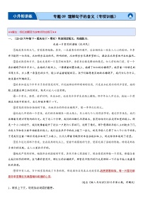 专题09 理解句子的含义（专项训练）-2024年小升初语文复习专练（统编版）