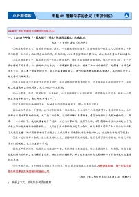 专题09 理解句子的含义（专项训练）-2024年小升初语文复习专练（统编版）