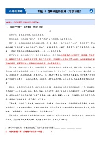 专题11 理解标题的作用（专项训练）-2024年小升初语文复习专练（统编版）